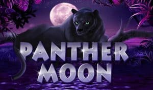 Petualangan Malam di Panther Moon: Game Seru dari Playtech